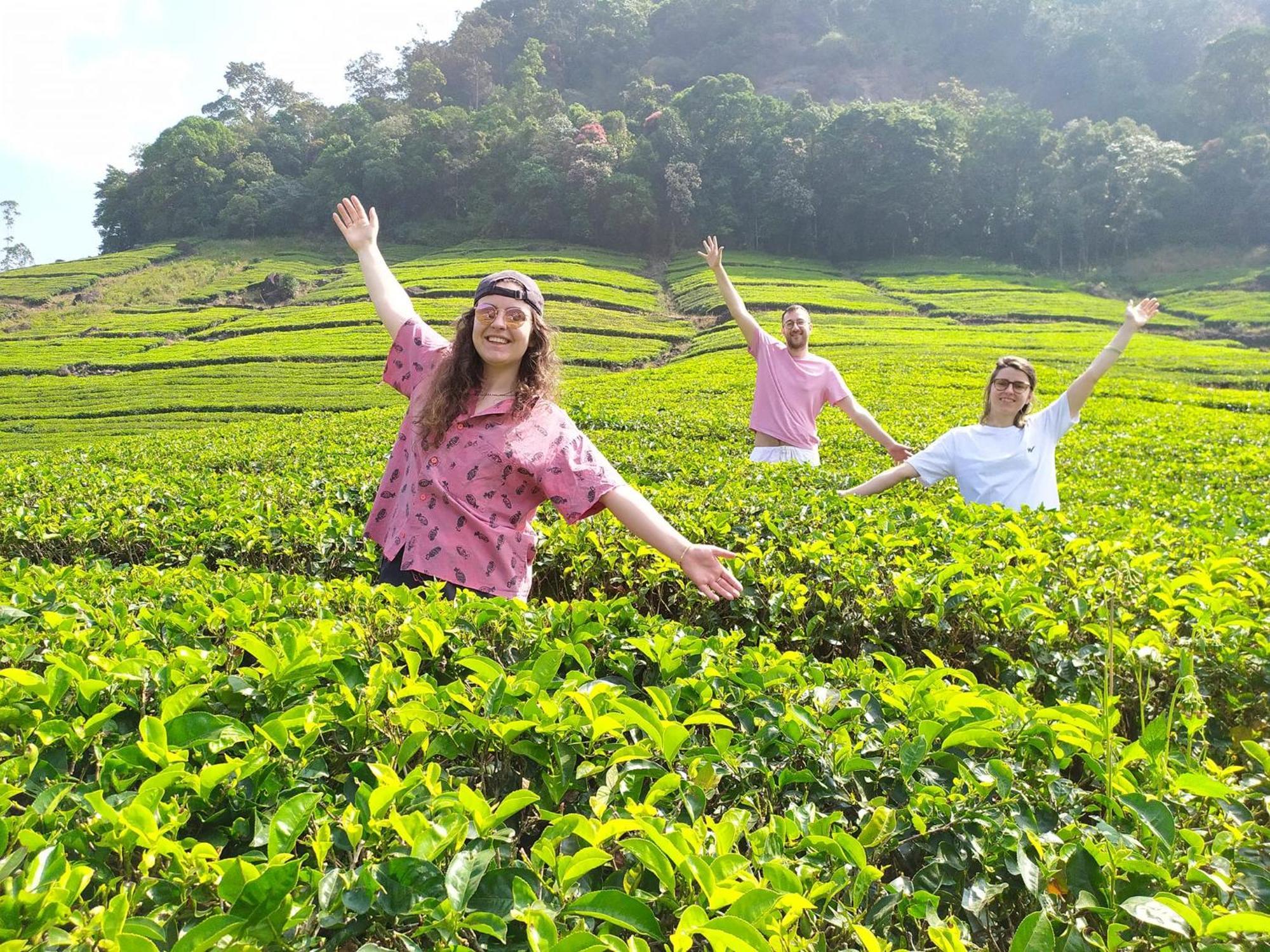 Forestscape Resort 蒙纳 外观 照片