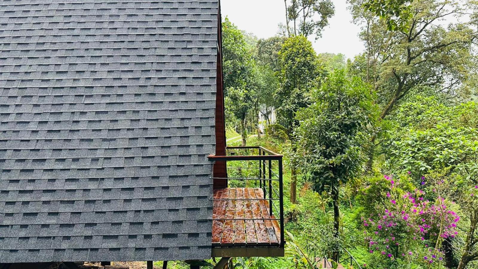 Forestscape Resort 蒙纳 外观 照片