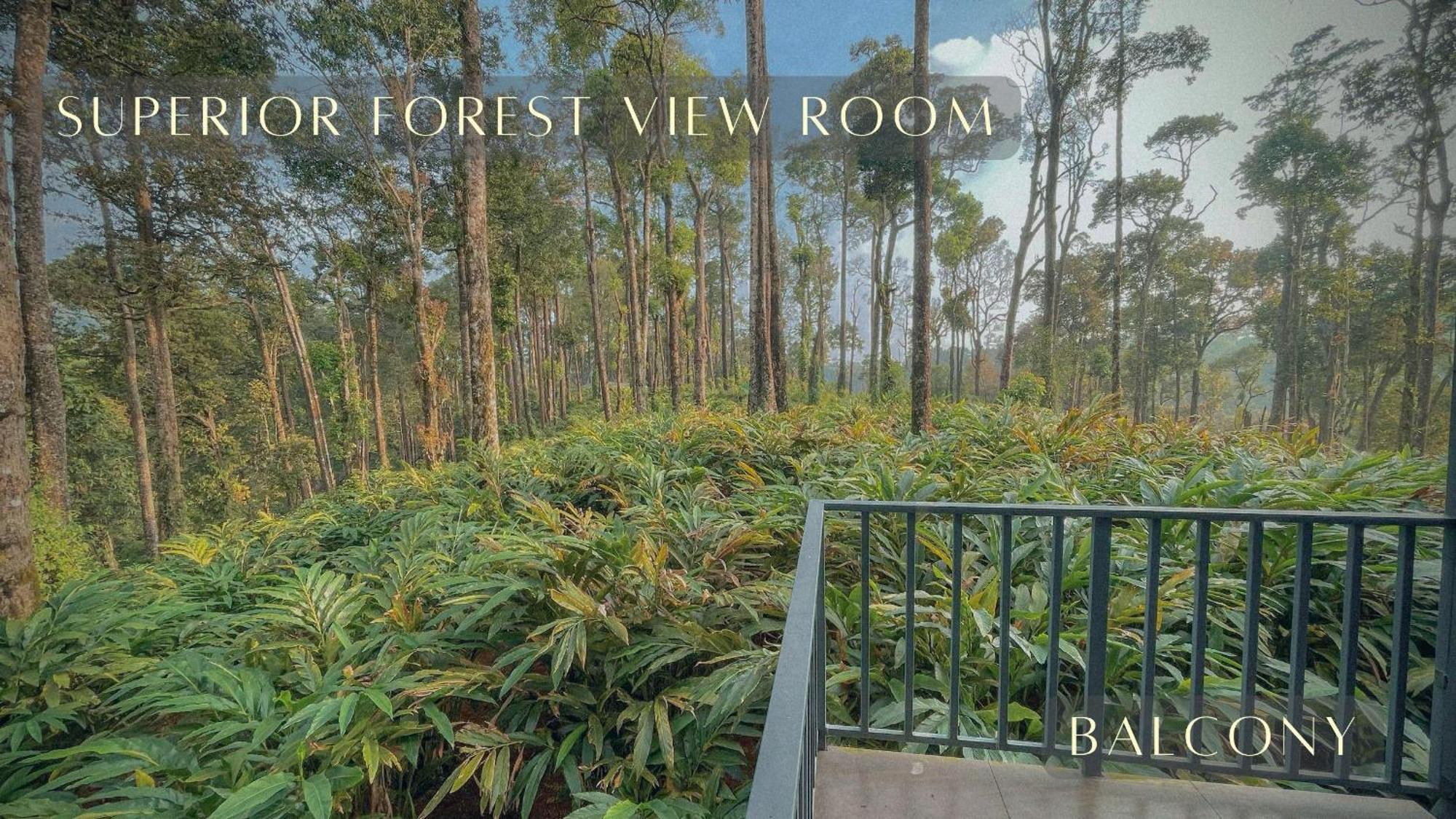 Forestscape Resort 蒙纳 外观 照片